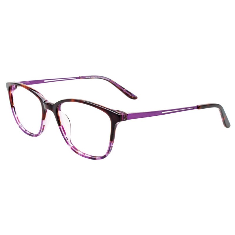 Takumi TK1170 - Purple Marbled & Demi Amber