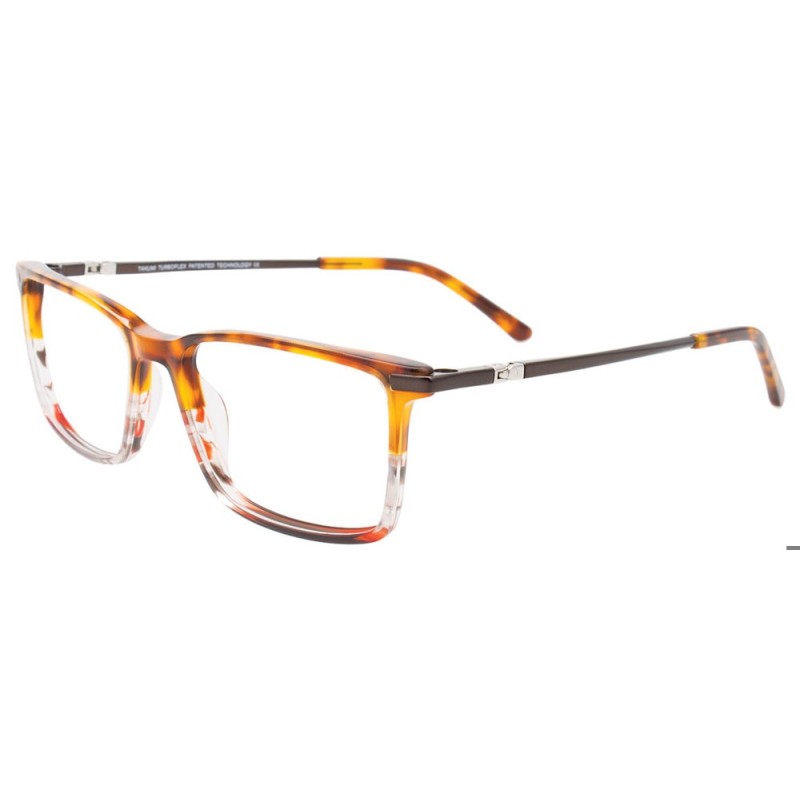 Takumi TK1245 - Écaille de tortue dégradé