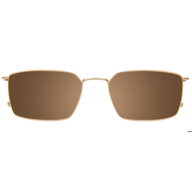 EasyClip EC645 - Tortoise & Gold