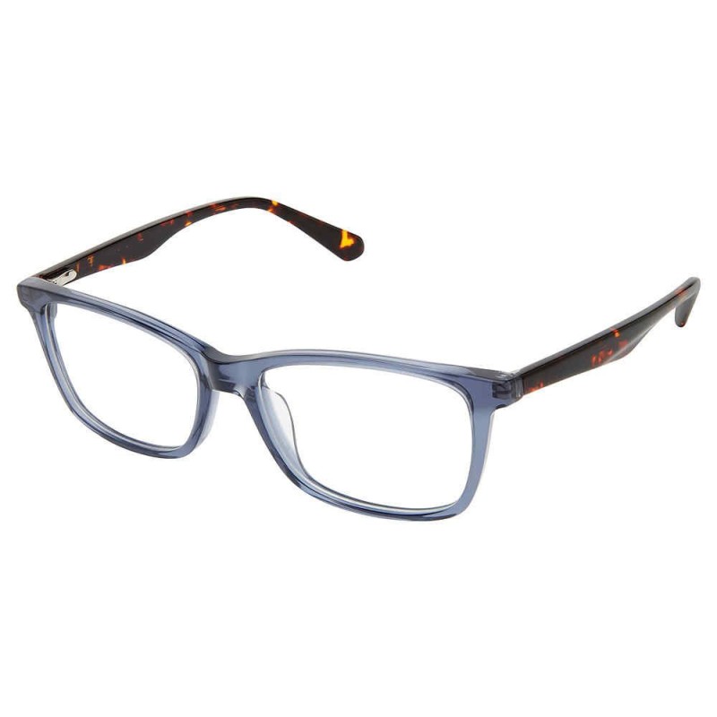 Superflex SF-598 - Blue & Tortoise